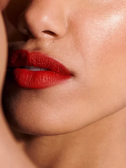 Beauty Rouje Lip Stylos | Le Stylo Louise