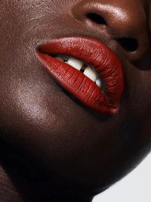 Beauty Rouje Lip Stylos | Le Stylo Louise