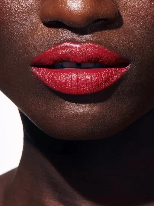 Beauty Rouje Lip Stylos | Le Stylo Camille